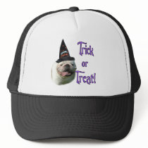 Bulldog Trick