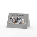 Bulldog Trio Greeting Card