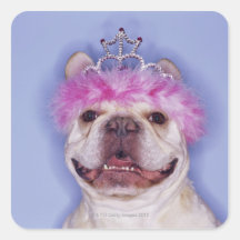 Bulldog wearing tiara sticker