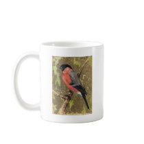 Bullfinch Mugs