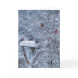 Bullfinches Card