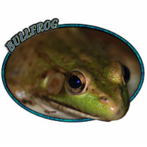 Bullfrog in Oval Photo Sculptures