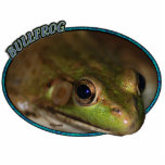 Bullfrog in Oval photo sculptures