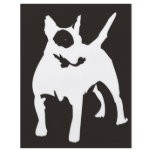Bulli Terrier flyers