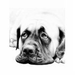 BULLMASTIFF CUT OUTS
