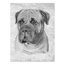 Bullmastiff Post Cards