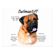 Bullmastiff (red) History Design Post Cards