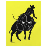 Bullrider 300 flyers