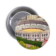 Bullring Pins