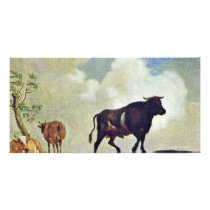 Bulls And Cows By Potter Paulus (Best Quality) Photo Card Template