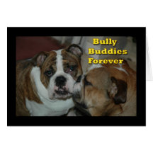 bully buddies card