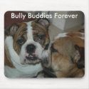 Bully Buddies Forever mousepads