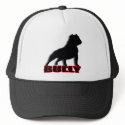 BULLY hats