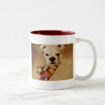 Bully Mug