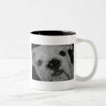 Bully Mug