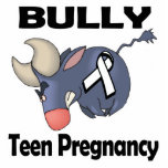 BULLy Teen Pregnancy photo sculptures