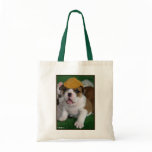 BullyBreeze - Chill - Chillin' Out Bag