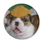 BullyBreeze - Chill - Chillin' Out - Magnet