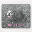 Bully's Rule mousepads