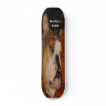 Bully's rule skate board