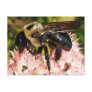Bumble Bee 93 ~ postcard