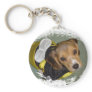 Bumble Bee Beagle