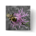 Bumble Bee buttons