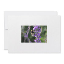 Bumble Bee Collecting Pollen Invitation