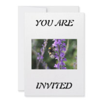 Bumble Bee Collecting Pollen Invitation