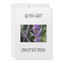 Bumble Bee Collecting Pollen You Are Invited