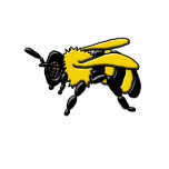 Bumble Bee, dark shirt