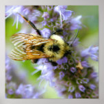 Bumble Bee Digital Watercolor posters