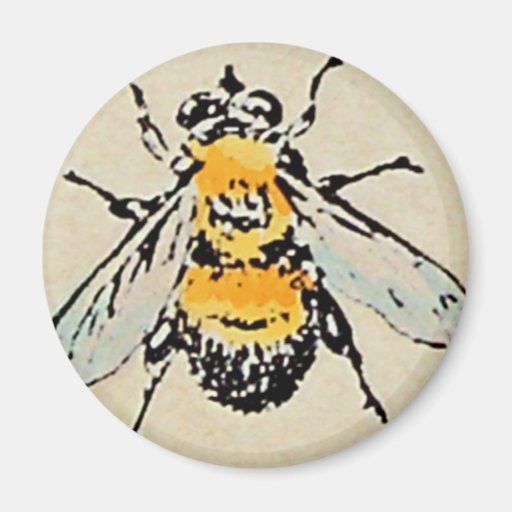 Bumble Bee Magnet