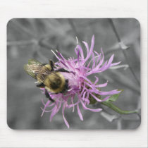 Bumble Bee Mouse Mats