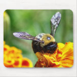 Bumble Bee Mousepad