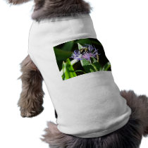 bumble bee,on a bachelor button doggie tee shirt