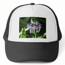 bumble bee,on a bachelor button trucker hat