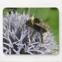 Bumble Bee on Alium Flower - mouse pad