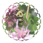 Bumble Bee on Bee Balm Stickers