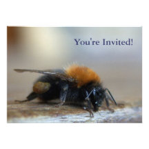 Bumble Bee Party Invitation