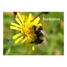 Bumble Bee Party Invitation