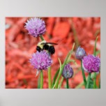 Bumble Bee posters