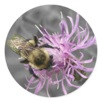 Bumble Bee Sticker