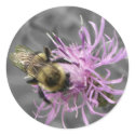 Bumble Bee stickers