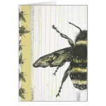 Bumble beee card