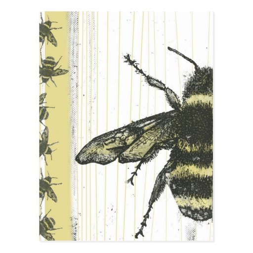 Bumble bees post cards