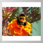 Bumblebear poster posters