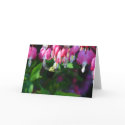 Bumblebee and Bleeding Hearts Greeting Cards