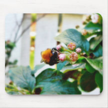 Bumblebee Insect Mousepads