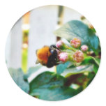 Bumblebee Insect Stickers